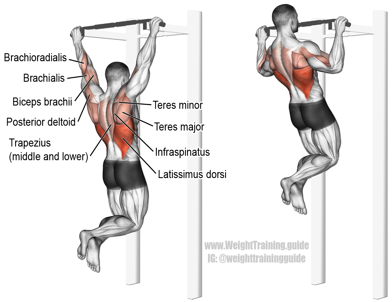 Pull-Ups