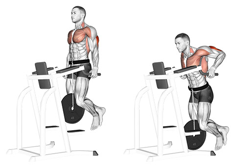 Tricep Dips